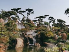 -罗红摄影艺术馆