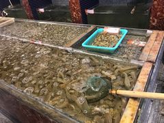 -大京园海鲜烧烤(东城路店)
