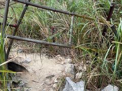 -黄埔油麻山森林公园
