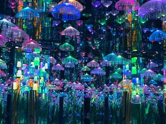 -成都浩海立方海洋公园