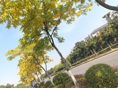 -老佛爷·铜炉炭火蛙锅(海州吾悦店)