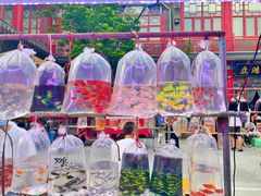 -华声天桥民俗文化园