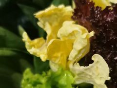 -草原塞蛮羊火锅城(港湾店)