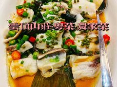-云顶山庄·粤菜·农家菜(共和店)