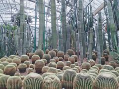 -南山植物园