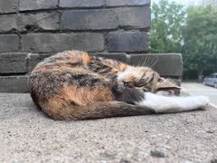 -李叔同故居纪念馆