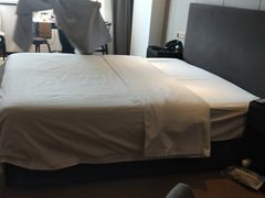 -成都峨眉雪芽大酒店