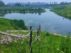 -洋湖国家湿地公园