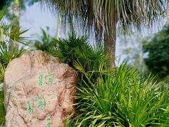 -深圳仙湖植物园
