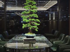 -南海渔村(珠江新城店)