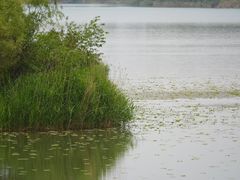 -丁香湖公园