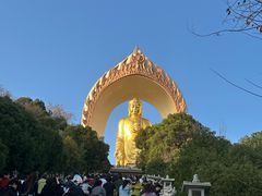 -庐山风景名胜区-东林大佛