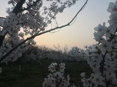 -南京邮电大学(仙林校区)
