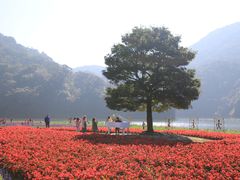 -广州市石门国家森林公园