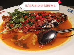 -坛宗剁椒鱼头(河西王府井店)