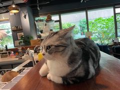 -咖法森林·咖啡  酒吧(天河店)