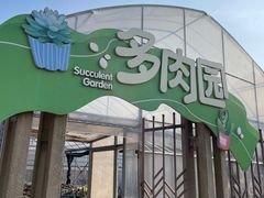 -菊园百果园