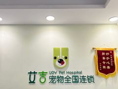 -艾吉宠物医院·疑难杂症转诊中心·猫友好(碧江路院)