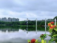 -东莞植物园