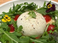 布拉塔芝士沙拉-1861意大利餐厅(来福士店)