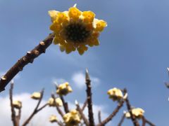 -仙海旅游度假区