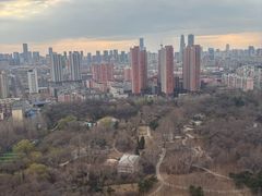 -万泉公园