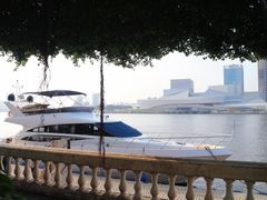 -广州白天鹅宾馆