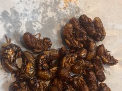 -食鸡公社辣子鸡·潍坊菜·烧烤