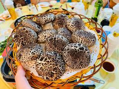 蘑菇包-暨南大学（石牌校区）明湖楼