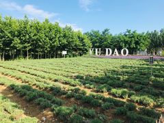 -渔岛海洋度假区