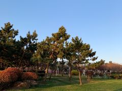 -日照灯塔风景区