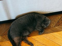 -Me Coffee下午茶艺术空间