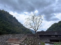 -林坑古村落