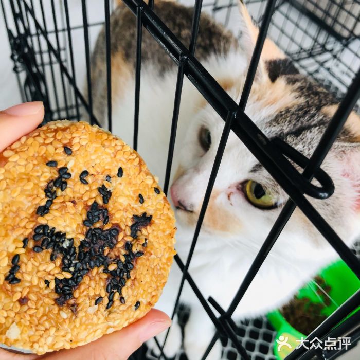 汪玉霞(园博园东路店)碱酥饼礼盒图片