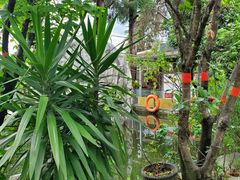 -瑞丰园庭院餐厅·白族传统家常菜