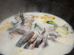 -鲜潭蒸汽石锅鱼(五道口购物中心店)
