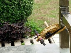 -东莞植物园
