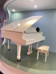 -比华利美容医院