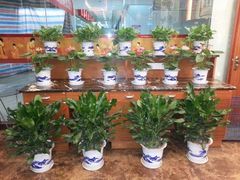 android_upload_pic-大拙里·精致融合菜(沙湖桃源国际店)