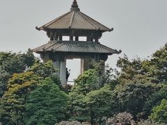 -梧桐山风景名胜区