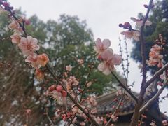 -无锡梅园公园