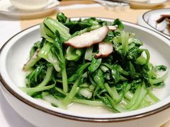 -隐山栖(鸿泰佳园店)