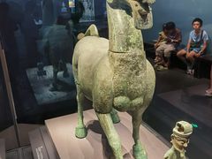 -广西壮族自治区博物馆