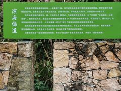 -温岭石塘海边