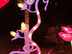 -武汉园博园(武汉自然博物馆)