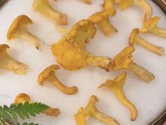 -芸山季·云南野生菌火锅(南翔印象城MEGA店)