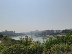 -金海湾滨江公园