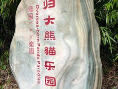 -中国大熊猫保护研究中心雅安碧峰峡基地