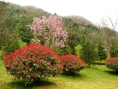 -牛背梁国家森林公园