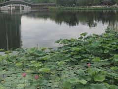 -西海子公园